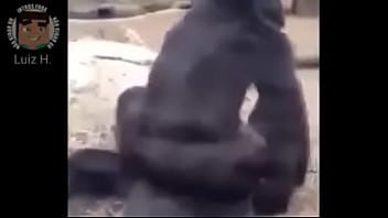 Preview 3 of Oiled Lubeb - Intro foda pra cacete para Everton voio