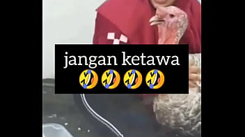 Preview 2 of 3gp Sexy Video Sanny Leon - gadis gendut tertawa nafsu