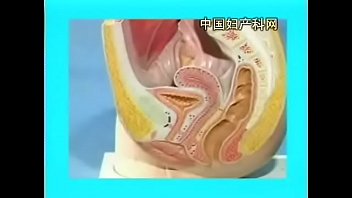 Preview 3 of Videosxxxxxz - 2586587557