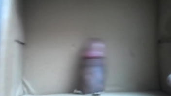 Preview 1 of Girl Gives Dog Handjob Best - Mi pene rebotando
