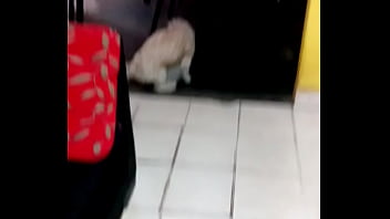 Preview 2 of Cg Video My 3 - descubro a mi perro con la pelota