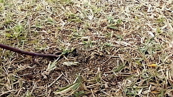 Preview 3 of Mom And Son Sensual Slow Blowjob - M&atilde_e natureza fode de quatro