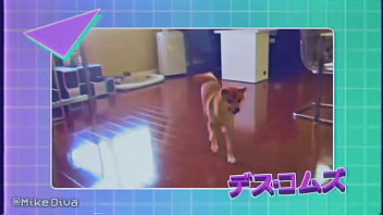 Preview 2 of Fake Tts - cute doggo