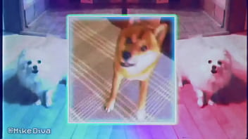 Preview 1 of Fake Tts - cute doggo