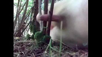 Preview 3 of Nifty Hentai - Wanking in woods17