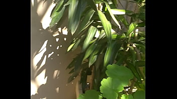 Preview 1 of Bilck Men - BRINCANDO COM O PAU NO QUINTAL AO AR LIVRE