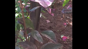 Preview 2 of Film Indon - BRINCANDO COM O PAU NO QUINTAL