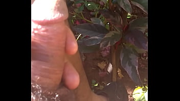 Preview 1 of Film Indon - BRINCANDO COM O PAU NO QUINTAL