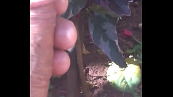 Preview 4 of Film Indon - BRINCANDO COM O PAU NO QUINTAL
