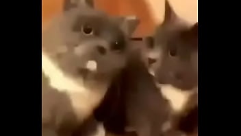 Preview 2 of Dad Son Uncle Gangbang - no es porno xddddddd