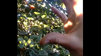 Preview 2 of Pinflix Sex - Gozada do meu filho