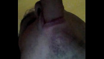Preview 2 of Norway American Bj Champ - Ein Freund bl&auml_st mich