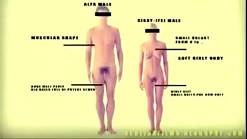 Preview 1 of School Bagsh Porno - shemale anatomy