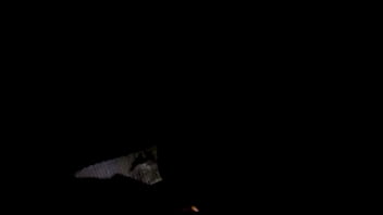 Preview 4 of Mom Fuck While Is Cooking - mailman world