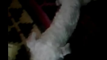 Preview 1 of Rap Force Six - Tedy bailando