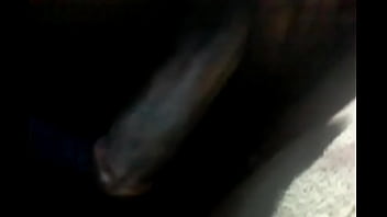 Preview 3 of Hard Fusy Hard Tits Hard All - Dr. Bitches The Big Bad Wolf comes out to play