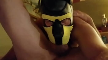 Preview 1 of Bbw Stick Pussy - Perrito Sucks Pup Pdog!