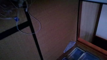 Preview 1 of Havy Body Mashls Girls Sex Video - Test
