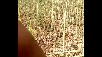 Preview 3 of Local Desi Bf Hf - खेत मे चोदाई