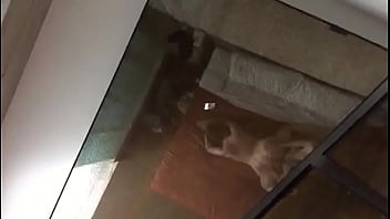 Preview 2 of Wife Suck Romantic Bbc Cum - cogiendo con morrita de 19 en hotel(sin audio)