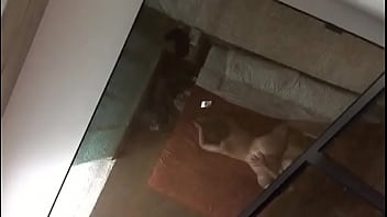 Preview 3 of Wife Suck Romantic Bbc Cum - cogiendo con morrita de 19 en hotel(sin audio)