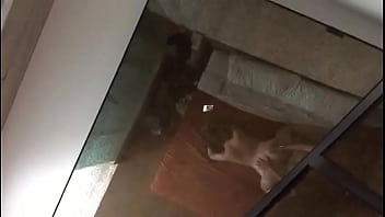Preview 4 of Wife Suck Romantic Bbc Cum - cogiendo con morrita de 19 en hotel(sin audio)