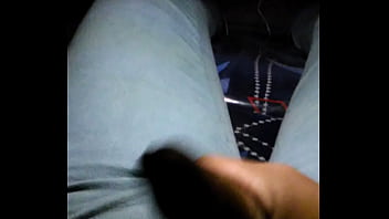 Preview 1 of Doging And Femal Xx Vidwos - Flashing autob&uacute_s