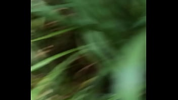 Preview 1 of Outside Orgies - fuck in the forest