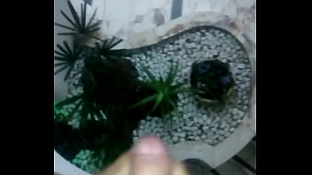 Preview 1 of Wildcom - Gozando MUITA PORRA de cima da escada!