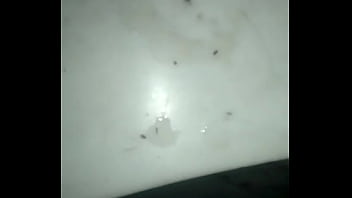Preview 4 of Wildcom - Gozando MUITA PORRA de cima da escada!