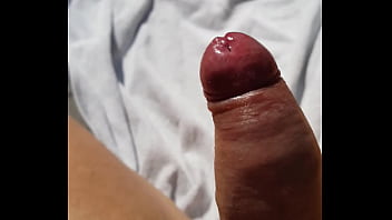Preview 3 of Gay Pet Farm - My Cock in Vienna