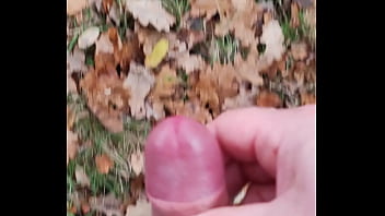 Preview 2 of Nikki Boys - Public cum in park 1