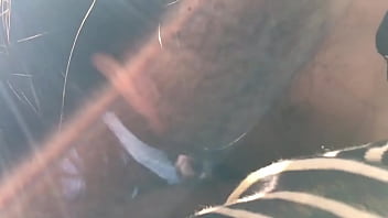 Preview 2 of Bowliwood Actors Porn Video - Girlfriend gets a mouthful at car