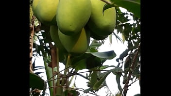 Preview 4 of Firist Ass Amature - thuhang2018