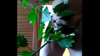 Preview 3 of Shemale Espana - balls bondage