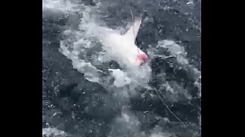 Preview 2 of Desi Sexfull Video - FISHING TRIP