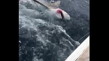 Preview 1 of Desi Sexfull Video - FISHING TRIP