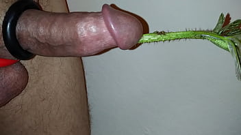 Preview 2 of Hardmouth Fuck - spiky plant insertion
