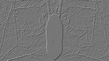 Preview 4 of Indian Pano - nudist skinny-dipping art