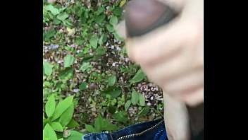 Preview 1 of Tamil Sex Home Ly - Asian milf jerks me off in park