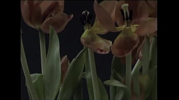 Preview 3 of Gedspurn - Cut-lo -  Notifiche (Trailer)