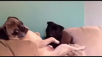 Preview 3 of Sleeping Ava - Best blowjob ever