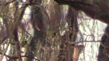 Preview 2 of Tarzan Rape School Girlundefined - The guy is pissing