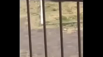 Preview 3 of Rilkjpjqe - Uno rikolino en el parque :v