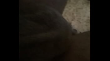Preview 2 of Adriana Soares Sex Video - Indian boy showing his black cock