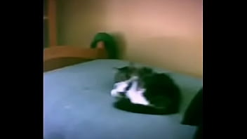 Preview 3 of Hours G - Fat Pussy Railed On Bed