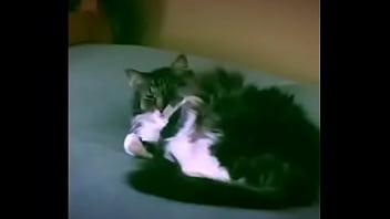 Preview 4 of Hours G - Fat Pussy Railed On Bed