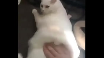 Preview 1 of Lesbian Mom Daughter Real - Man Giving Slaps On White Pussy