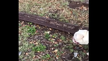 Preview 3 of Au Cuisine - WALKING DOG