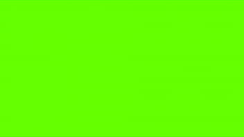 Preview 2 of Sunny Leone Wrong Hole Xxxx - green screen